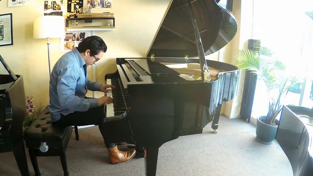 Petrof Bora 5'2" Grand Piano смотреть онлайн