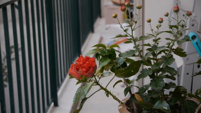 Panasonic GH2 - ETC mode смотреть онлайн