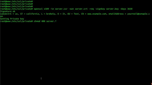 How To Setup Nginx With SSL Certificates On Ubuntu 18.04 LTS Linux смотреть онлайн