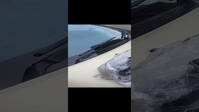 Зимняя трапеция Mark 2 110