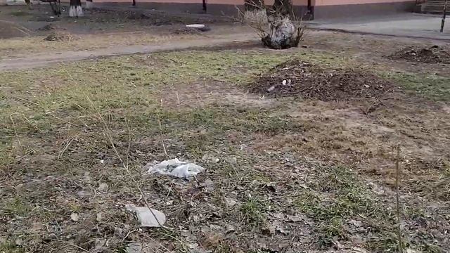 г. Каменск-Шахтинский (Ростовская область)