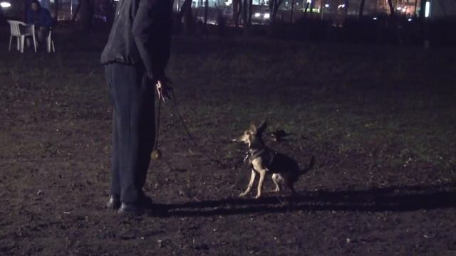 Silvestertraining - Hildes Weg aus der Angst смотреть онлайн