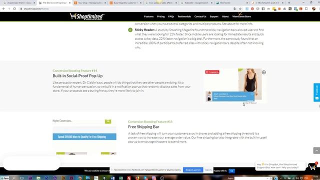 Оптимизация листинга на Etsy и Shopify, о скорости продаж смотреть онлайн