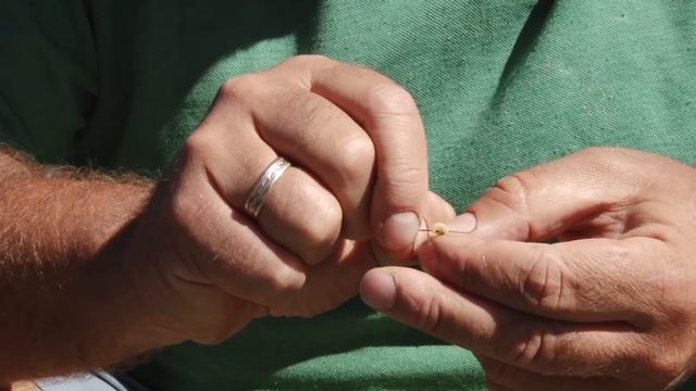 Ловля на маховую удочку в городе : На рыбалку с Нормундом #23 смотреть онлайн