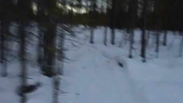 Самодельный снегоход НТД 420, поездка в лес. смотреть онлайн