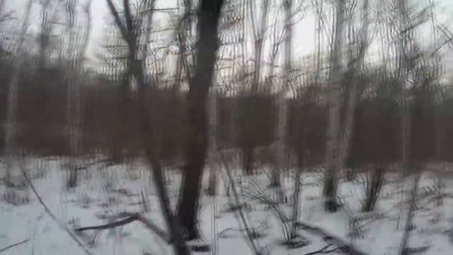 Троплю зяйца Беляка в Хабаровске смотреть онлайн