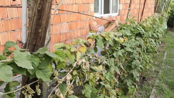 DELICIOUS LAMB KEBABS / AZERBAIJANI VILLAGE RECIPE