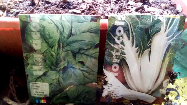 HUERTO-JARDÍN" BOMBAS DE SEMILLAS 1(MASANOBU FUKUOKA)" смотреть онлайн