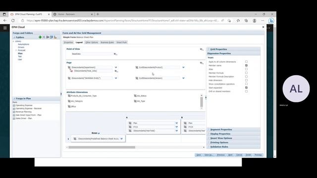 Oracle Custom Financial Planning Direct Data Input | Oracle Balance Sheet Planning | PBCS смотреть онлайн