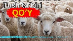 TUSHDA QO’Y KO’RISH - Тушда куй куриш - Tushda qo'y ko'rsa