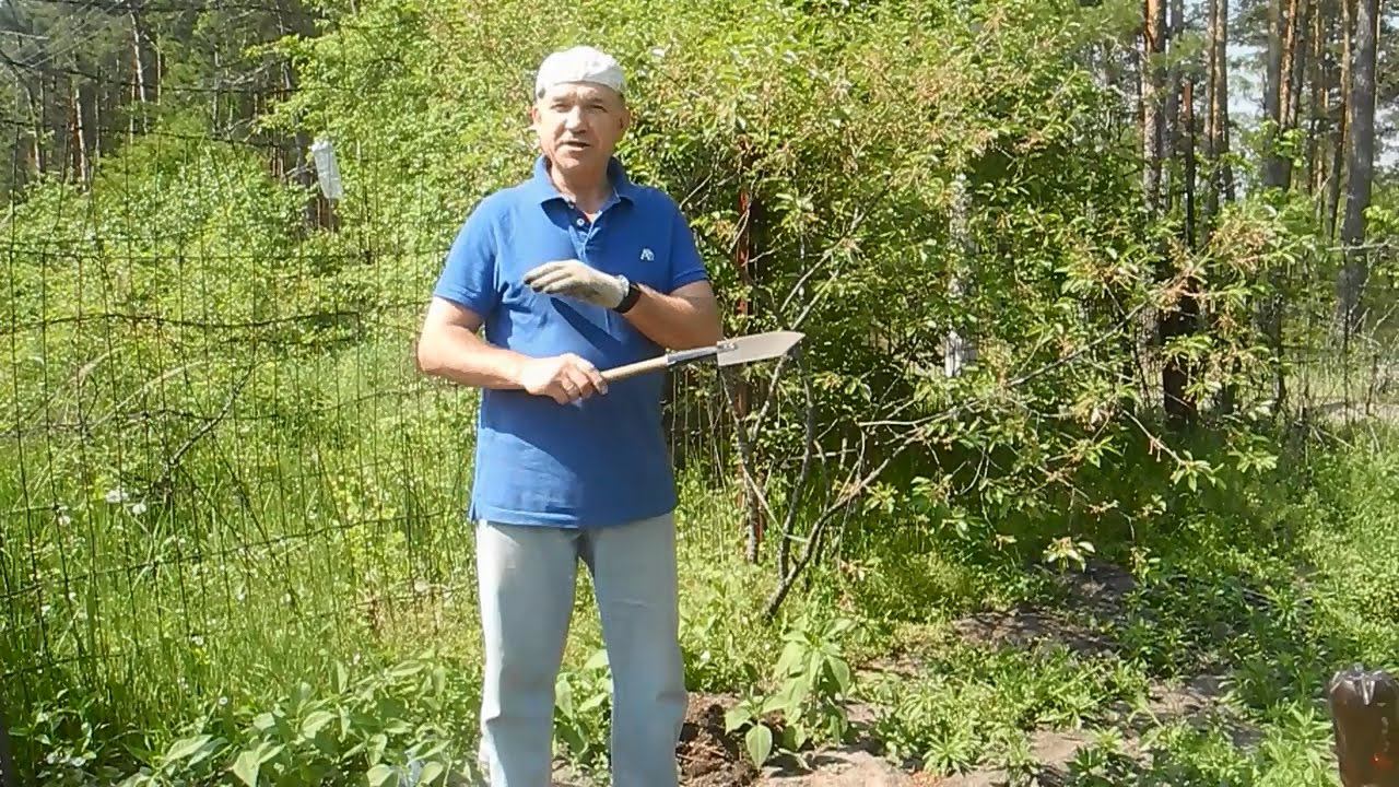 Естественный самополив грядок ч.1 смотреть онлайн