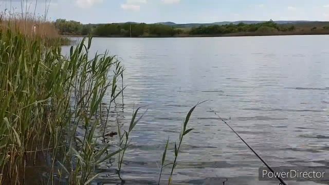 Сом в ракаловке!Рыбалка в мае!Рыбалка в Краснодарском крае.Деревенский парень! смотреть онлайн