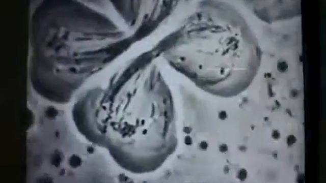 ? Митоз это непрямое деление клетки. смотреть онлайн