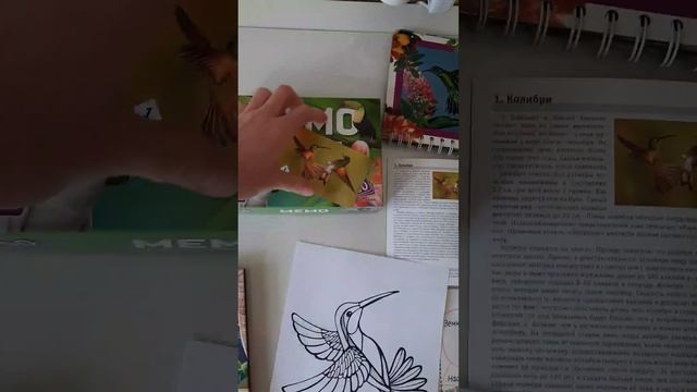 ЗАНИМАШКИ С ДОЧКОЙ/ГРУППЫ ЖИВОТНЫХ/ПТИЦЫ/КОЛИБРИ смотреть онлайн