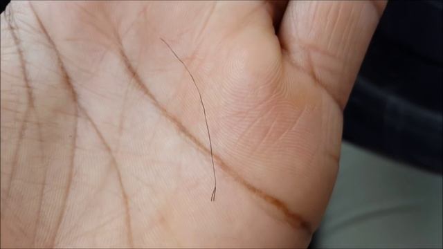 What Does A Split End Look Like?