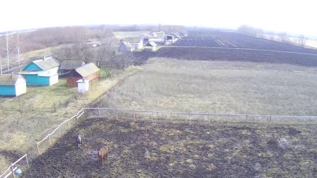 Первый полёт квадрокоптера. Лошади удивлены смотреть онлайн