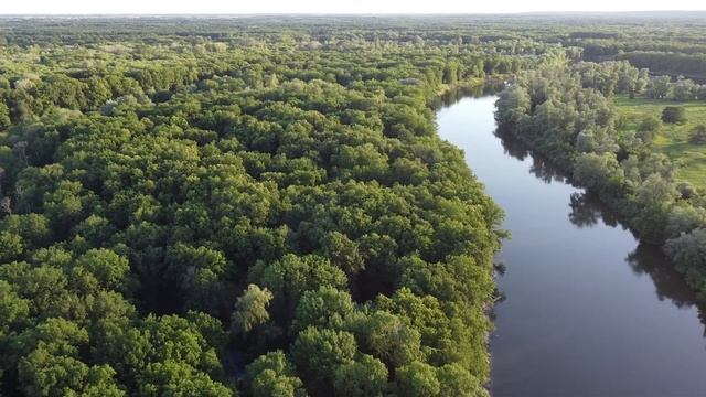 Река Хопёр, Воронежская область, июнь 2022 смотреть онлайн