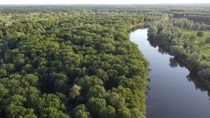 Река Хопёр, Воронежская область, июнь 2022