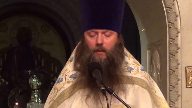 Ученики Христовы никогда не будут оставлены Божественным провидением (01.11.2014 г.) смотреть онлайн