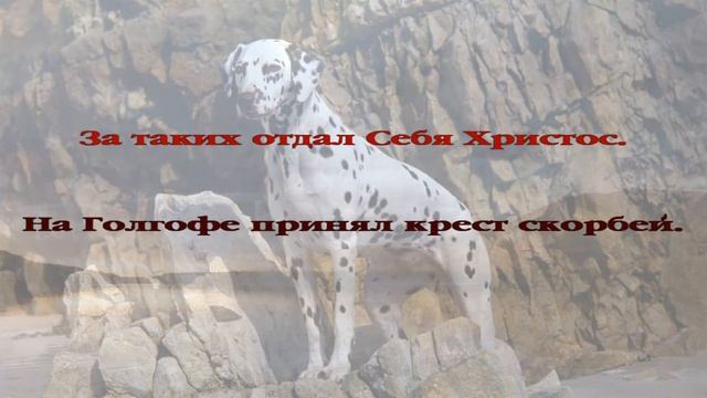 13. Фонари, ночные фонари смотреть онлайн