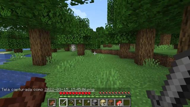 Nova Série Survival Vanilla no Minecraft Java!! - Fer0iis Mapa - EP.01 смотреть онлайн