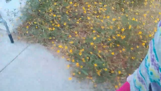paseo en el parque p2 смотреть онлайн
