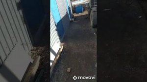 Простое оборудование и комплектующие Ассенизаторской машины ГАЗ 53, Газ 3307, ЗИЛ