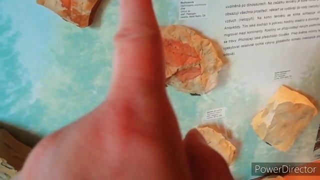 #YOUTUBE #Vlog#Прага#дино-парк#зоопарк. смотреть онлайн