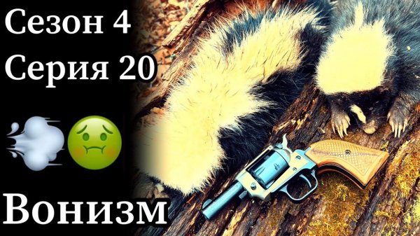 В капканы попались скунсы!