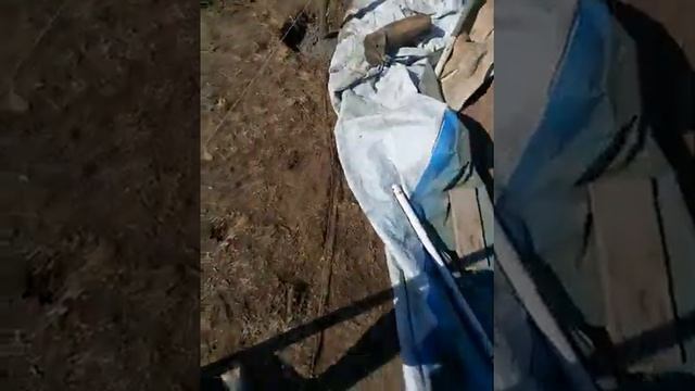 Шедевры плитки 