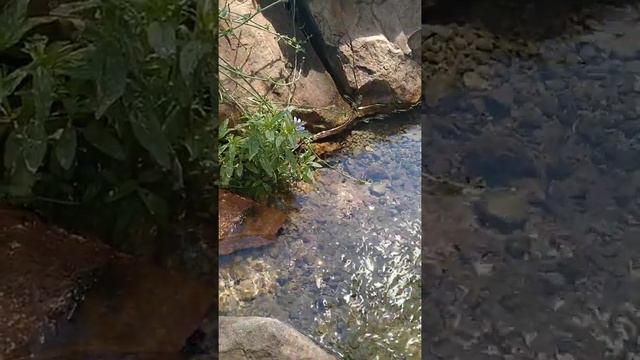 Медитация активация и чистка чакр смотреть онлайн