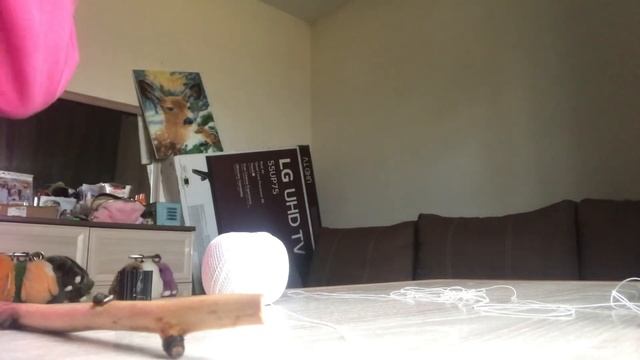 МК на хлыст для хоббихорса❤️?||лошади||хоббихорс||мк||хлыст? смотреть онлайн