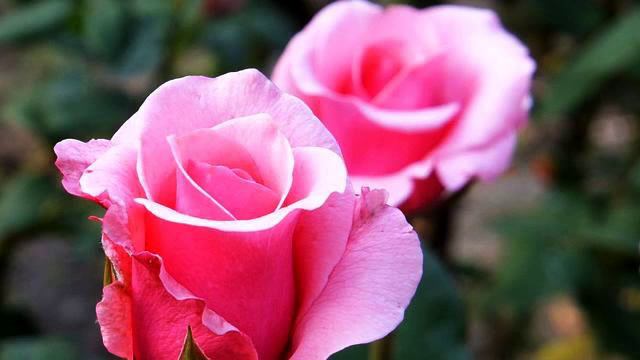 Самая новая русская музыка о любви в хорошем качестве смотреть онлайн