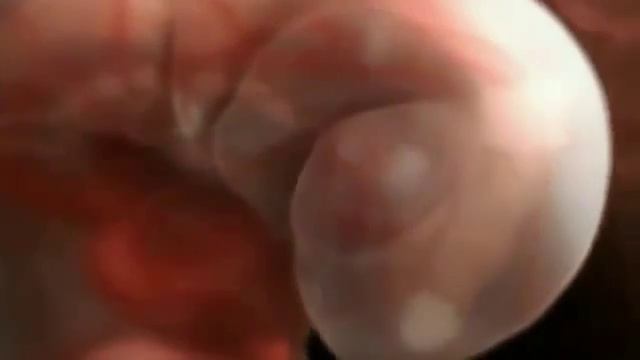 Начало Жизни: зачатие и развитие ребенка смотреть онлайн