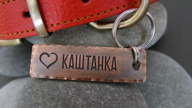 Адресник для собаки с гравировкой - Жетон и медальон смотреть онлайн