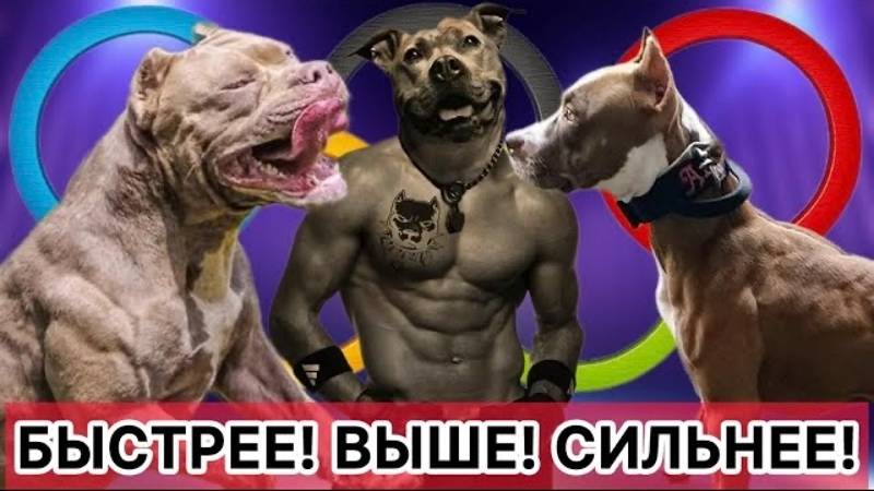 ОКД как вид спорта смотреть онлайн
