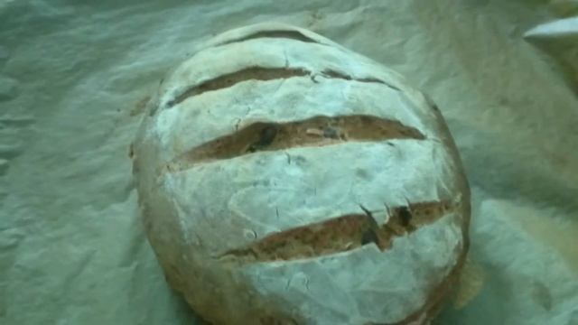 Хлеб по рецепту немецкой бабушки.Хлеб с зернами льна,подсолнуха,тыкввы,с орехами кедра. смотреть онлайн
