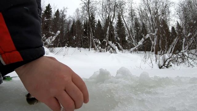 Хариус зимой в пермском крае. смотреть онлайн