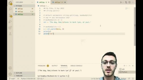 Python .split() string method