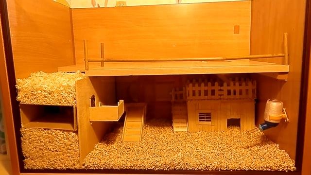 Грандиозный переезд хомяка в новый дом своими руками. Дом хомяка своими руками. House hamster смотреть онлайн