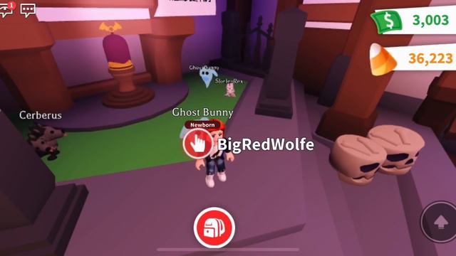 Halloween Update Adopt Me WE GOT EVERY PET Skeleton T Rex Ghost Bunny Bat Cerberus Roblox 2020 смотреть онлайн