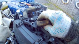 Замена ремня ГРМ на лодочном моторе Honda BF30