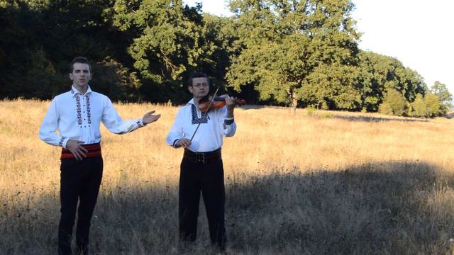 Narcis Bistrițean - Omule iubeste-ti mama смотреть онлайн