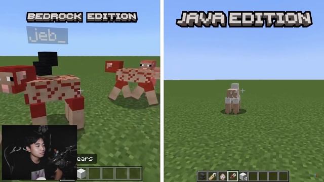 AKHIRNYA TERUNGKAP PERBEDAAN JAVA VS BEDROCK MINECRAFT смотреть онлайн