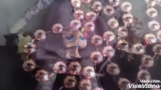 Лучшие фото с лпс смотреть онлайн