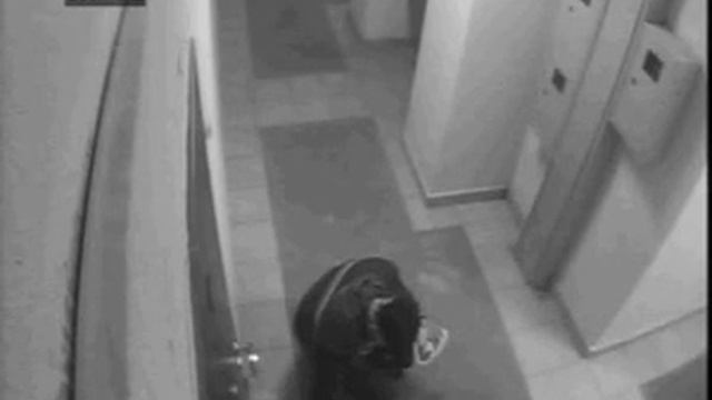 Неизвестный тип ворует коврик у входной двери. смотреть онлайн