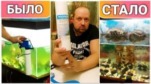 Как избавиться от зелёной воды в аквариуме//Лучший фильтр для красноухих черепах//Содержание черепах