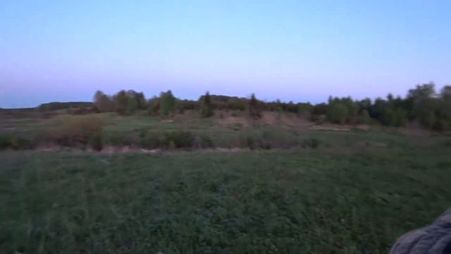 вечерняя прогулка возле деревни. орущая лиса смотреть онлайн