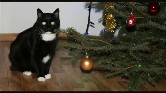 Boże Narodzenie 2012 Рождество Христово Poland, Szczecin смотреть онлайн