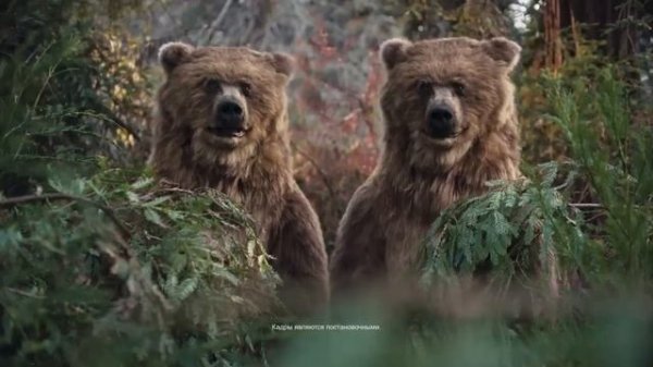 Twix | реклама | 2022